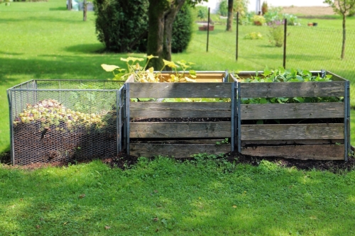 Nowe życie w majowym ogrodzie: Wykorzystanie przekwitających kwiatów do produkcji kompostu