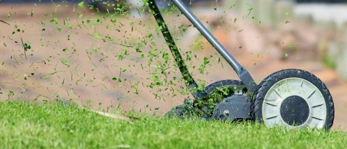 Wiosenna pielęgnacja trawnika: Kluczowe kroki dla pięknego i zdrowego ogrodu