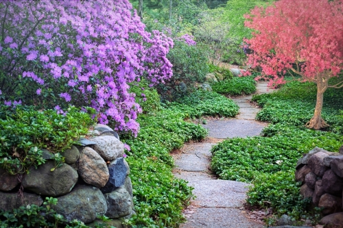 Wiosenne ozdabianie ogrodowych ścieżek: Pomysły na kolorowe i dekoracyjne ścieżki w ogrodzie