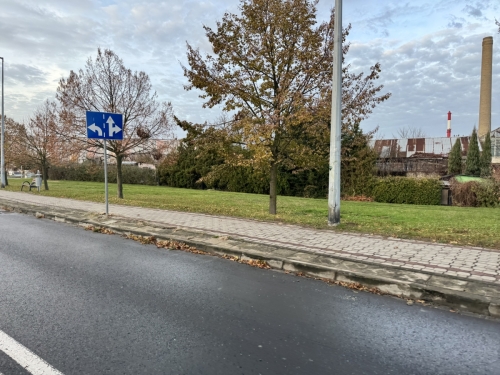 Teraz jest tylko trawa a będzie nowy park? Jest projekt