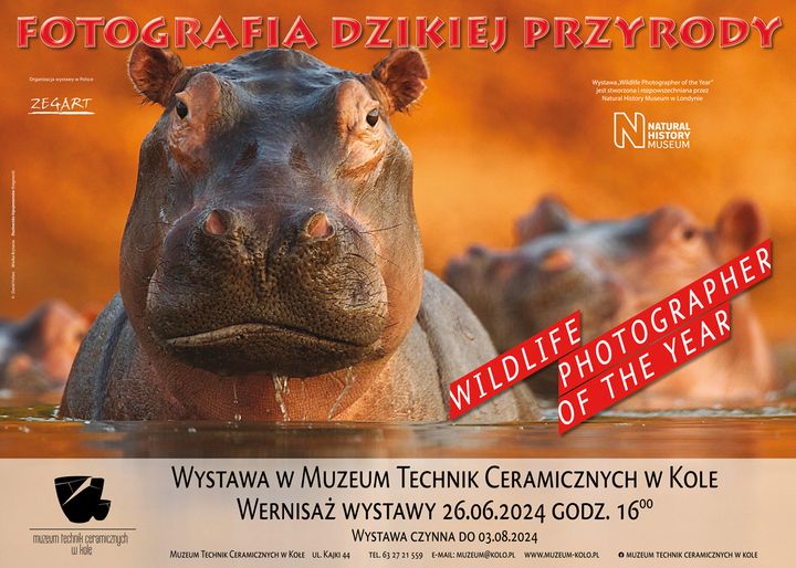 Fotografia dzikiej przyrody -  wystawa w Muzeum Technik Ceramicznych w Kole