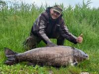 Taaaka ryba na rekord! Mieszkaniec Powiercia wyciągnął wielką tołpygę