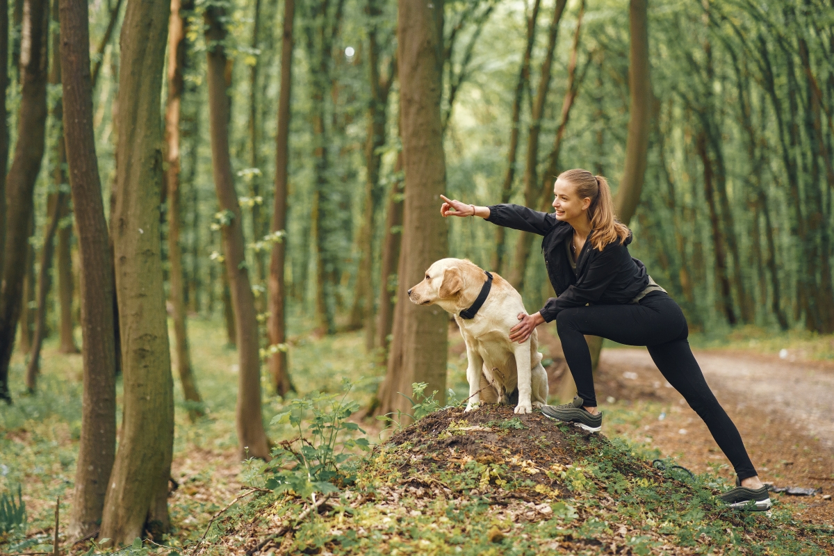 Rekreacja ruchowa czy dogoterapia? Kurs sposobem na karierę połączoną z pasją