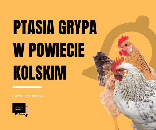 Zakończono działania w ognisku ptasiej grypy w gminie Grzegorzew