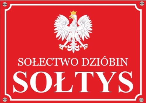 Wybory sołeckie w Gminie Kłodawa – Nowe władze sołectw na kadencję 2024-2029