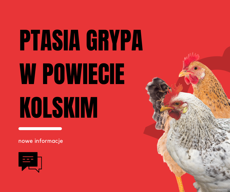 Nowe informacje w sprawie działań związanych z ptasią grypą