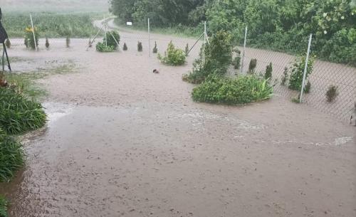 Ulewa w gminie Olszówka: obfite opady doprowadziły do podtopień