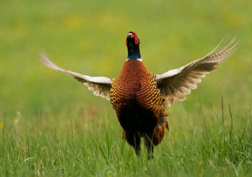 Pogoda w powiecie kolskim: Upalne dni i przelotne burze - sprawdź, co Cię czeka!