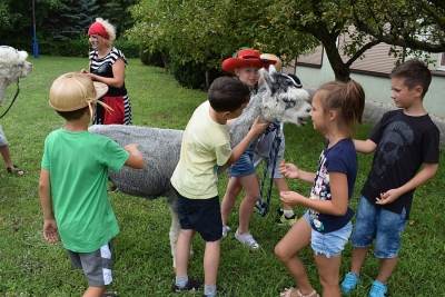 Półkolonie w kolskim OREWie