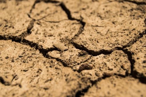 Susza hydrologiczna w powiecie? Pojawiają się pierwsze ostrzeżenia