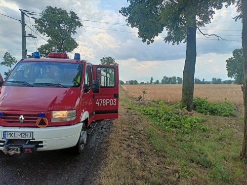 Około 50 zgłoszeń o zdarzeniach związanych z burzami w Wielkopolsce, w tym z powiatu kolskiego